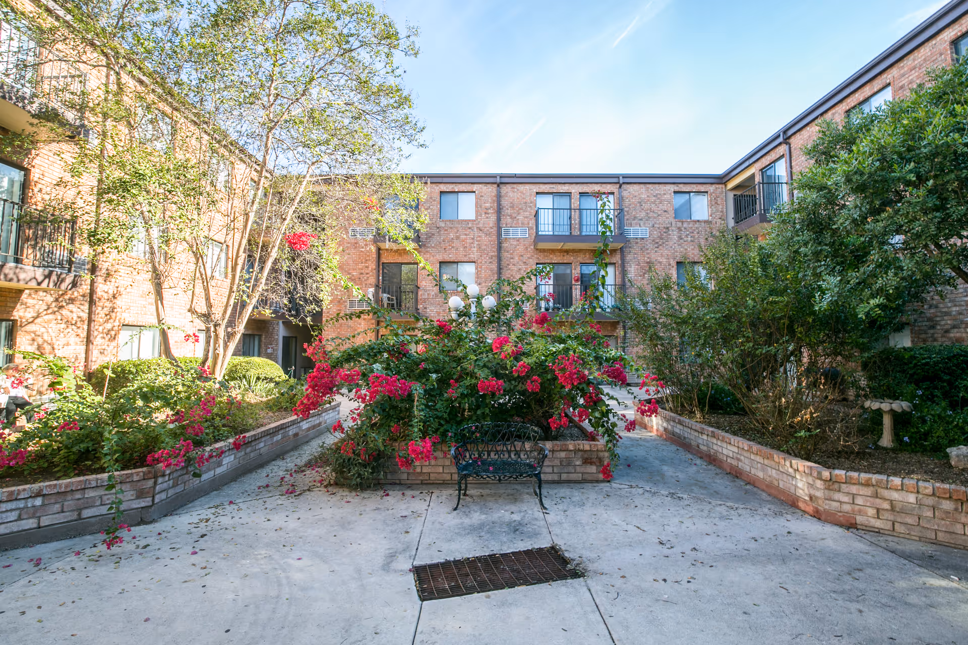 Photo 6 of Camino Real (Brookdale)
