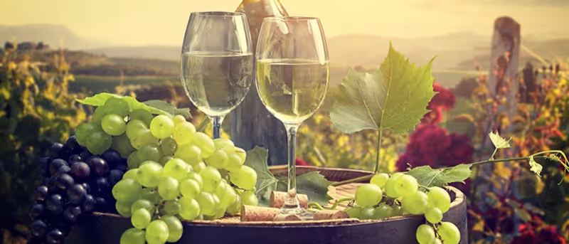 Photo 4 of Chenin Blanc Assisted Living