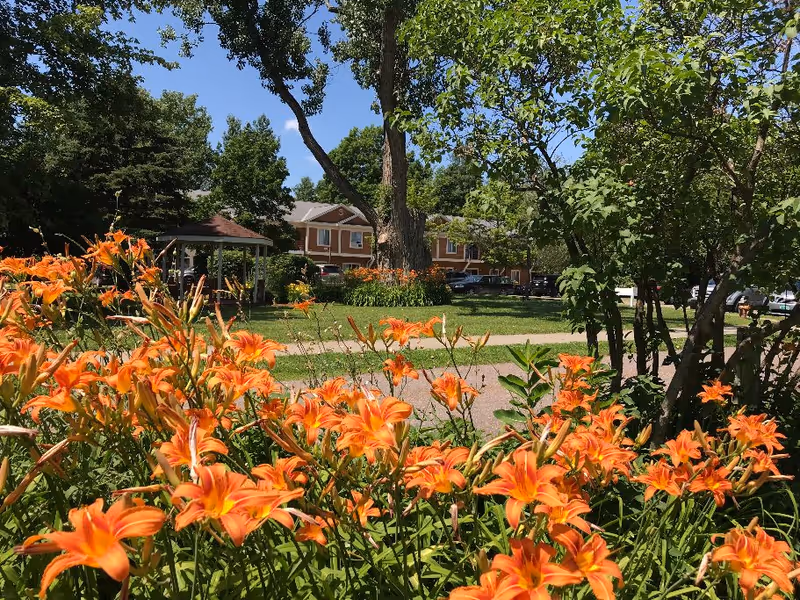 Photo of Gazebo North