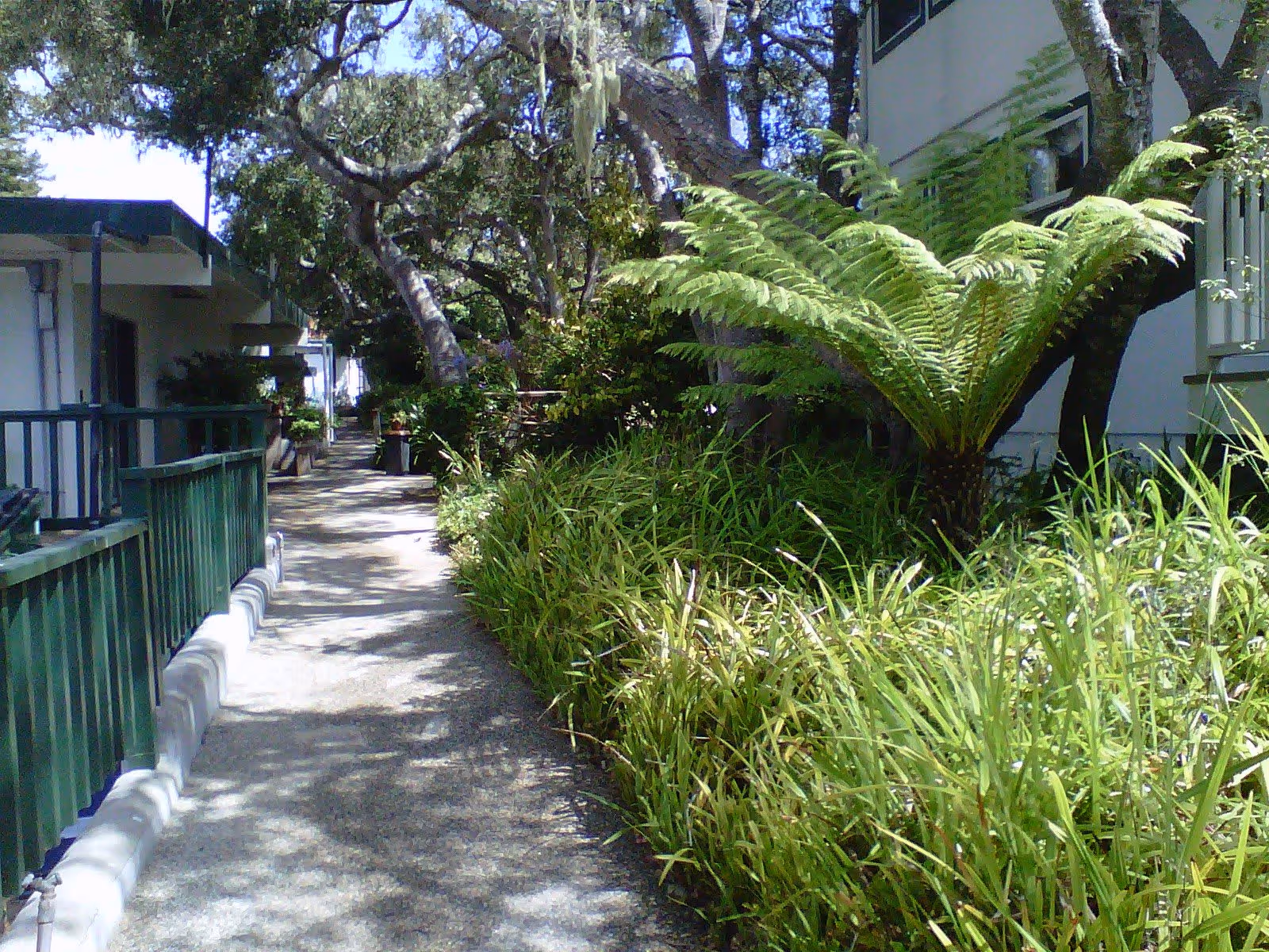 Photo of The Del Monte Assisted Residential Care