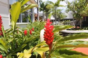 Photo 5 of Maunalani Nursing & Rehab Center