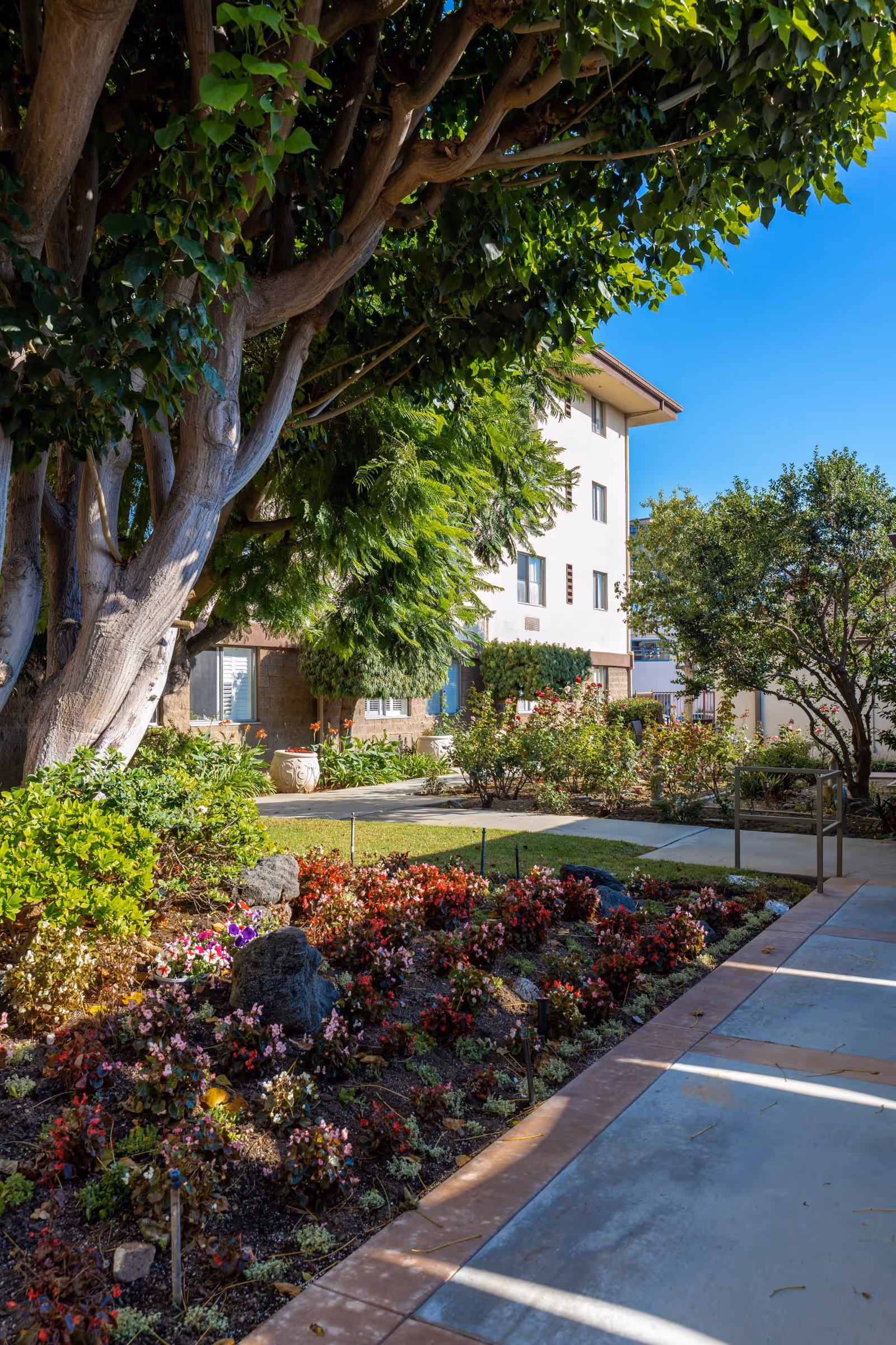 Photo 4 of Ararat Gardens