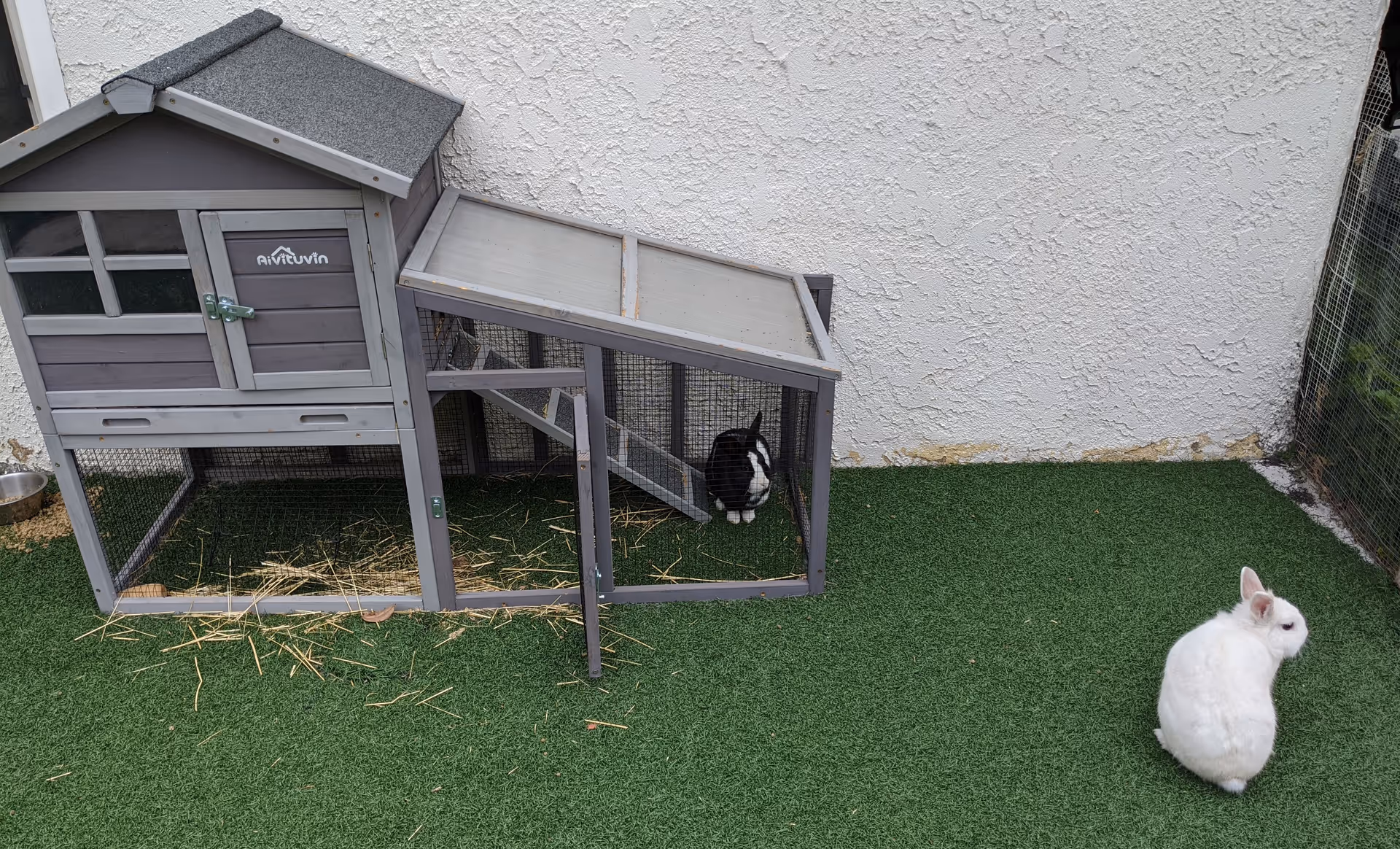 Photo 8 of Bubbe & Zayde's Place IV