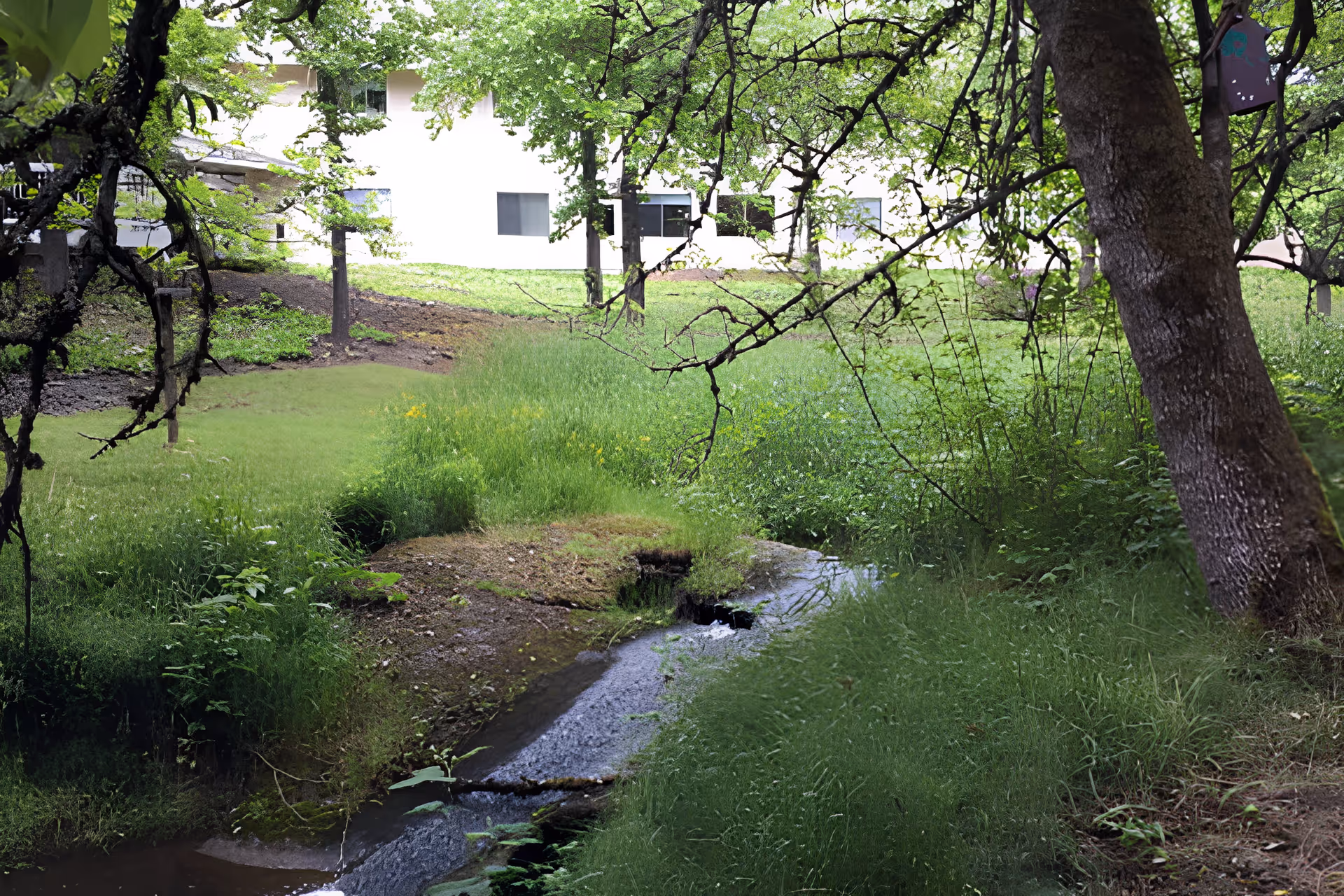 Photo 4 of Avamere at Park Place