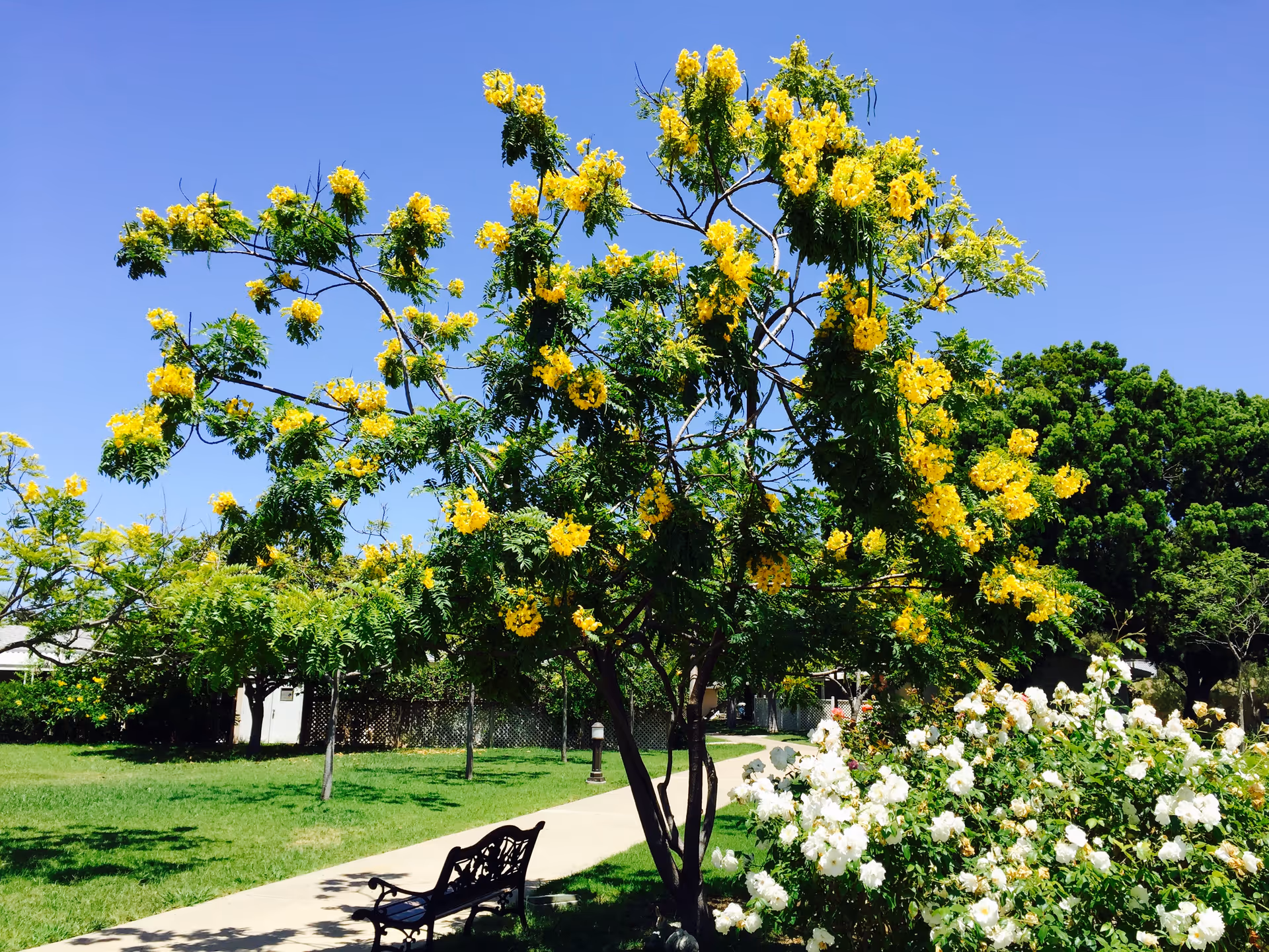 Photo 4 of Summer House Memory Care at Fredericka Manor
