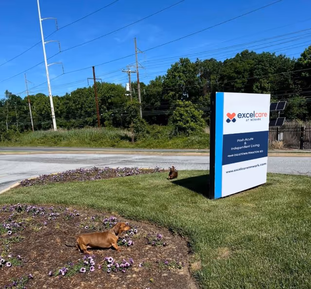 Photo of Excelcare at Newark