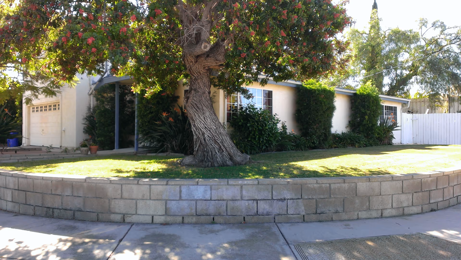 Photo 4 of Mission Home