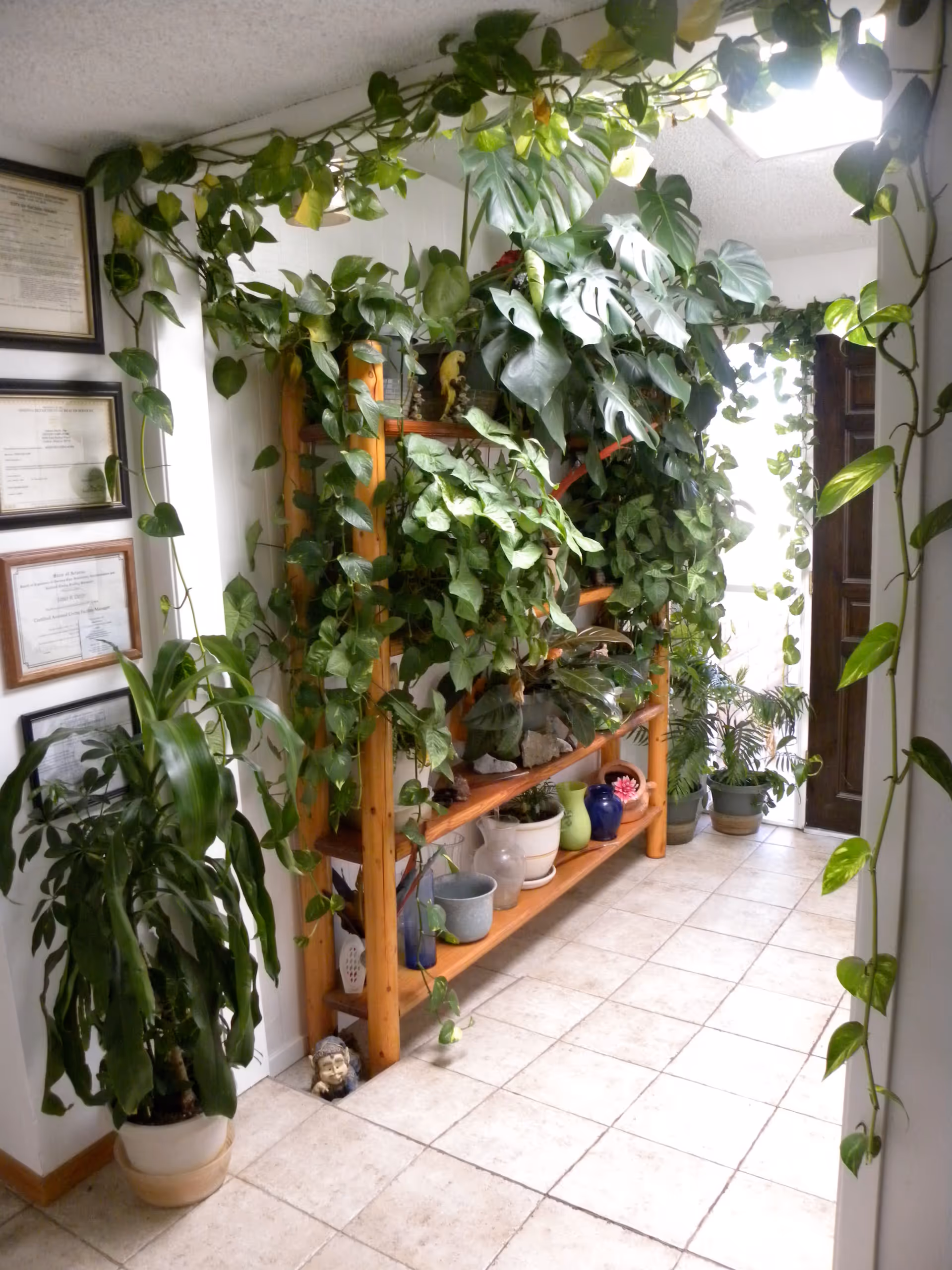 Photo 6 of Devors Care Home