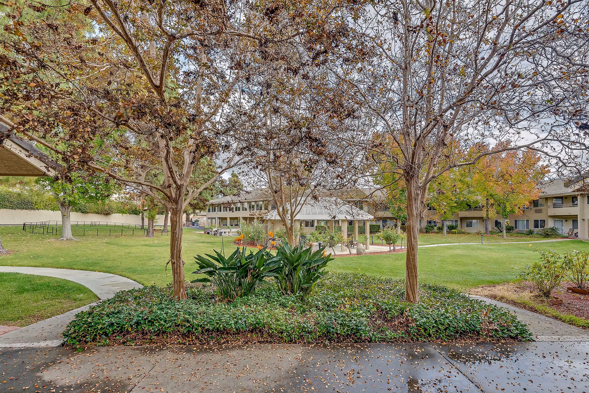 Photo 8 of Arcadia Place Senior Living