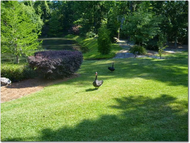 Photo 2 of WillowBrook Assisted Living