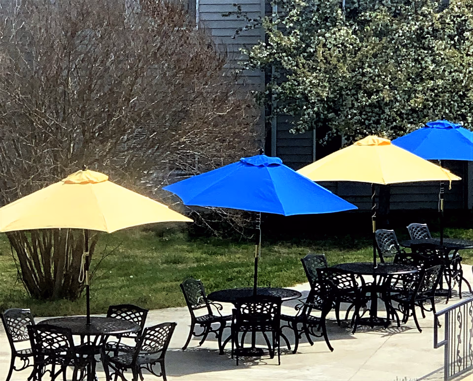 Photo 5 of Paramount Senior Living at Fredericksburg