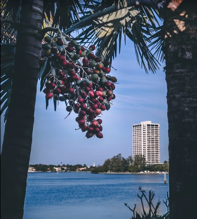 Photo 20 of Plymouth Harbor on Sarasota Bay