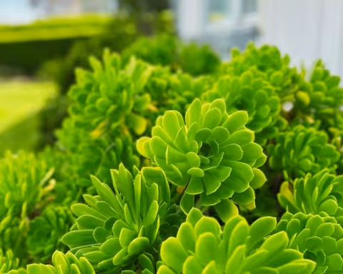 Photo 2 of Lucky Garden Care Home