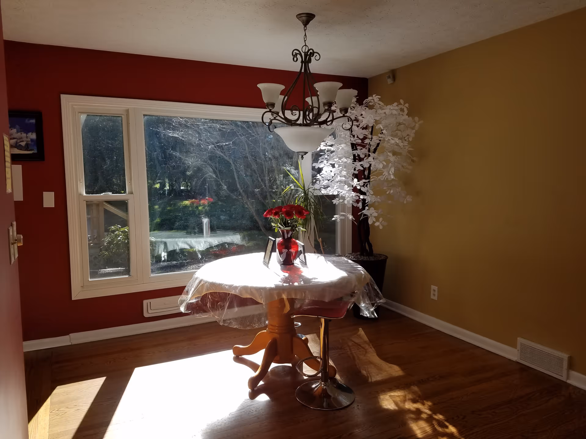 Photo 8 of Precious Memories, LLC