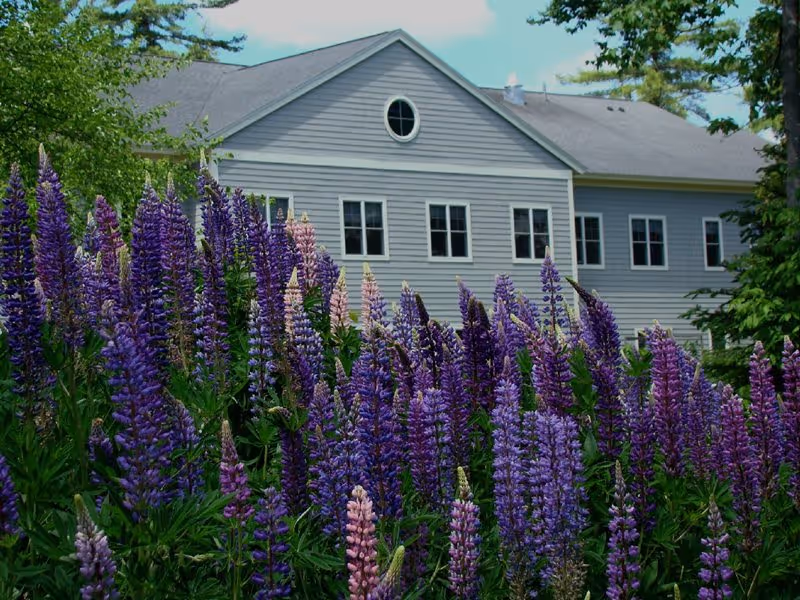 Photo 8 of Dirigo Pines