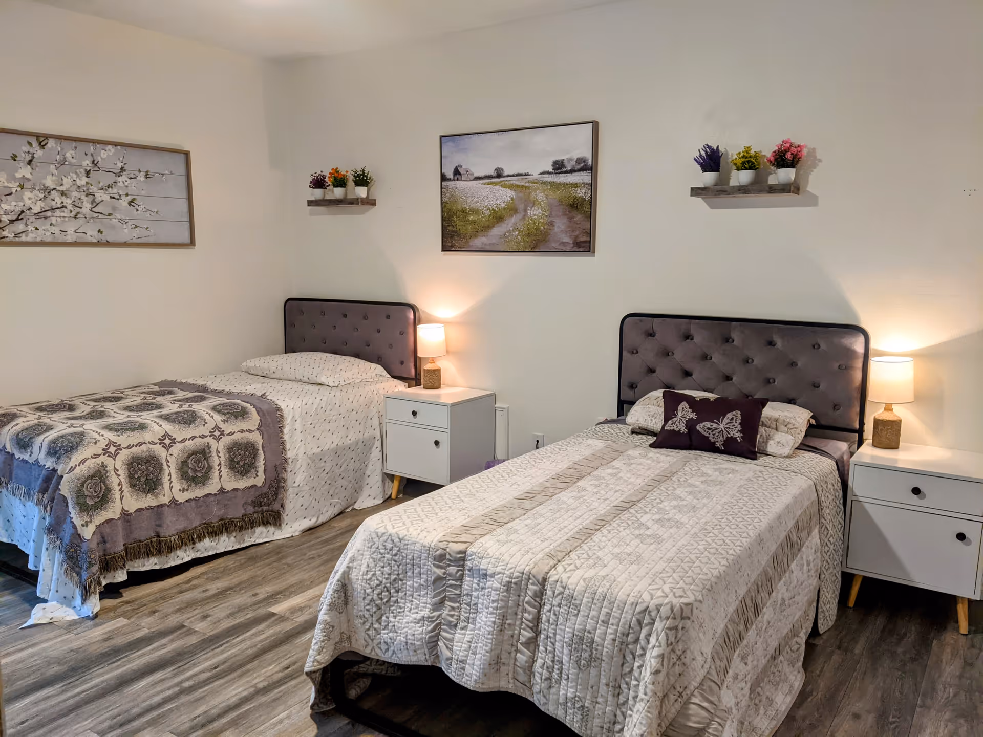 Photo 5 of Paladin Living
