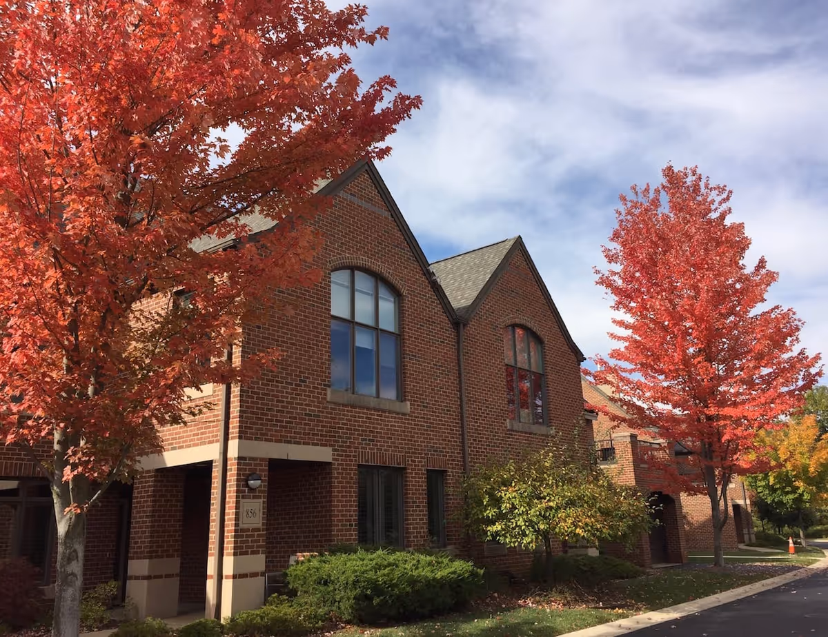 Photo of University Commons