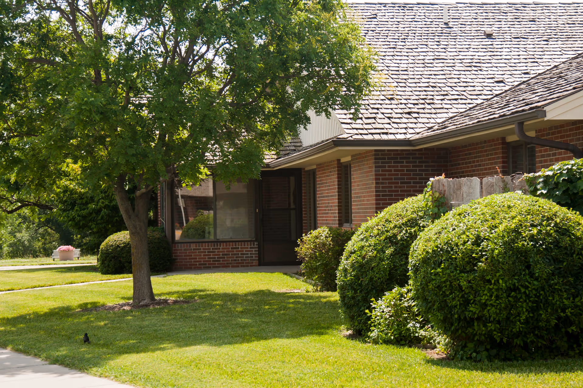 Photo 2 of Cedars Inc