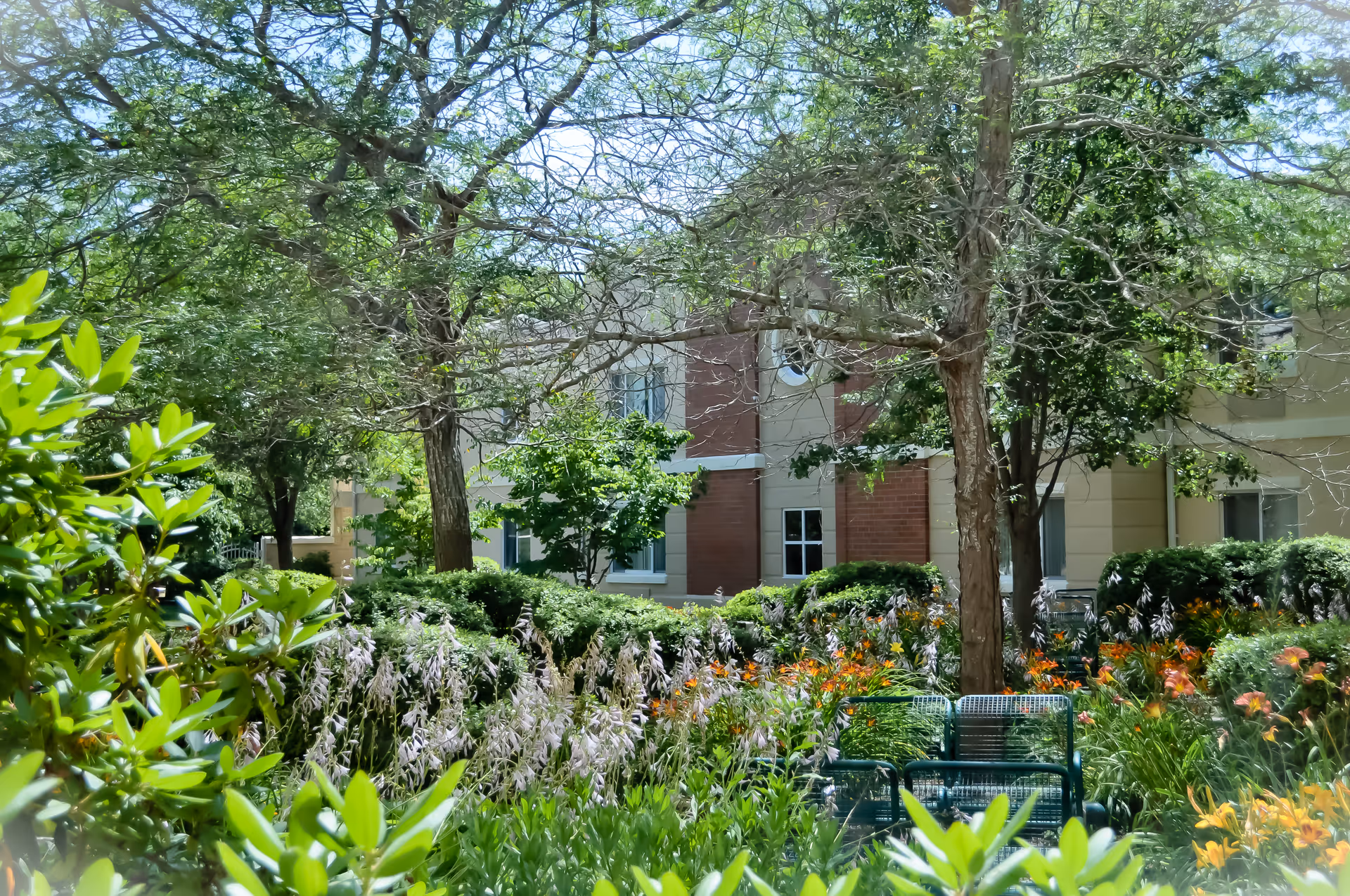 Photo 2 of Brookhaven Town House-adults