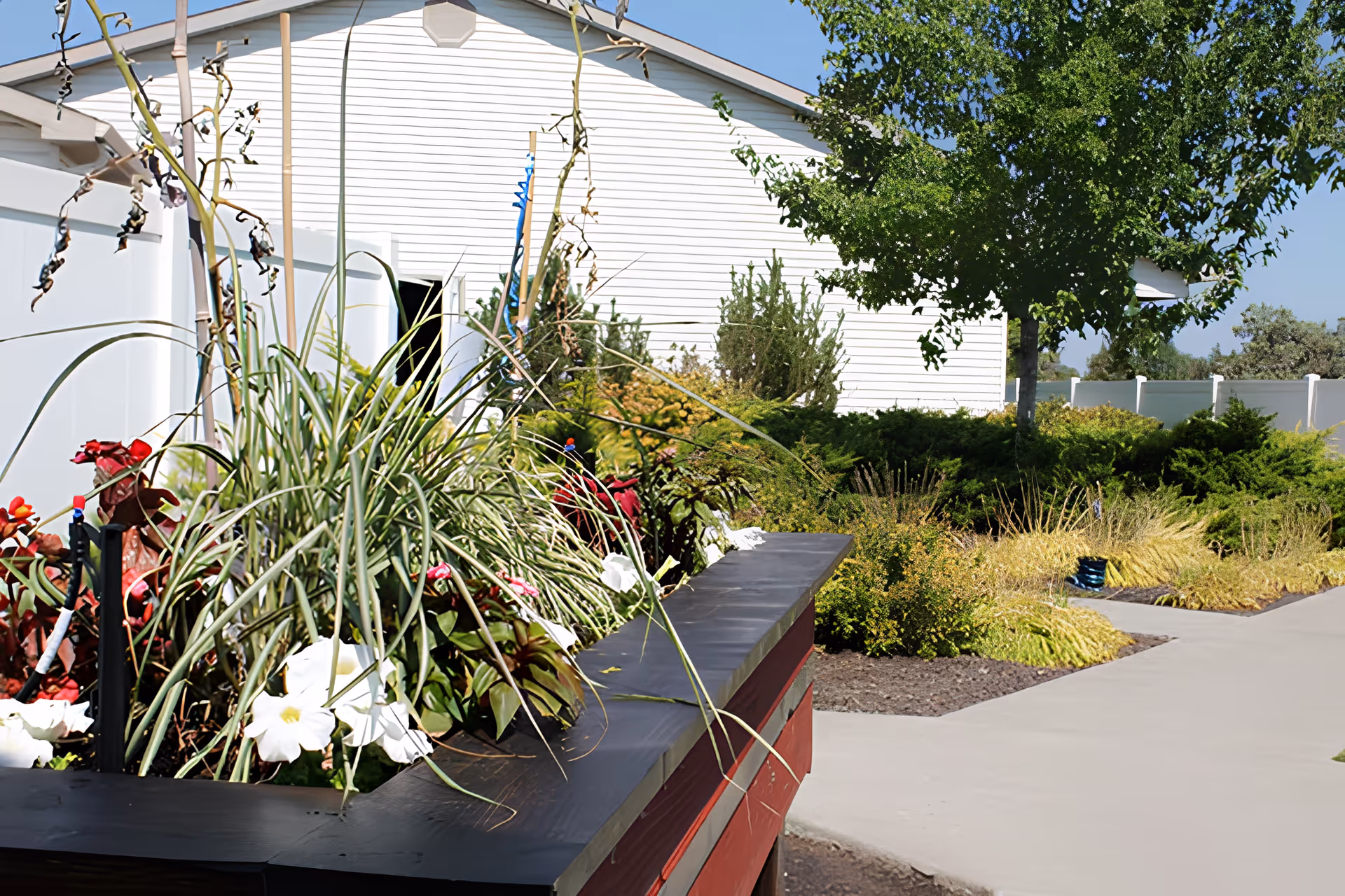 Photo 3 of Pacific Living Centers of Redmond