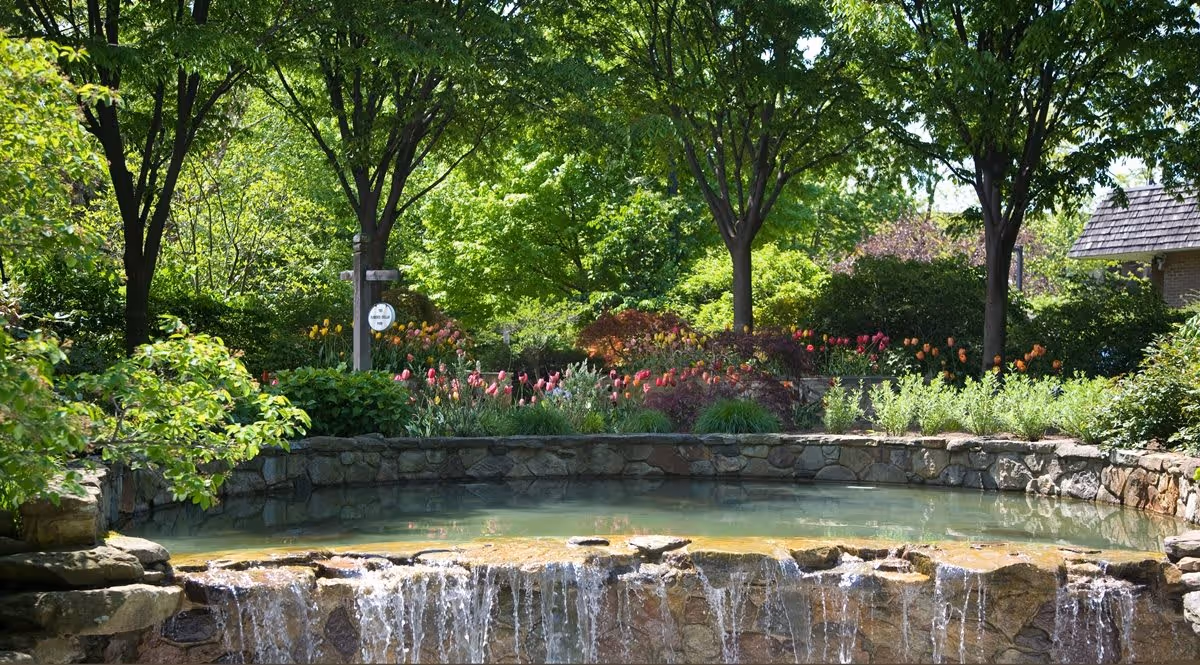 Photo 4 of Judson Park, a Judson Senior Living Community