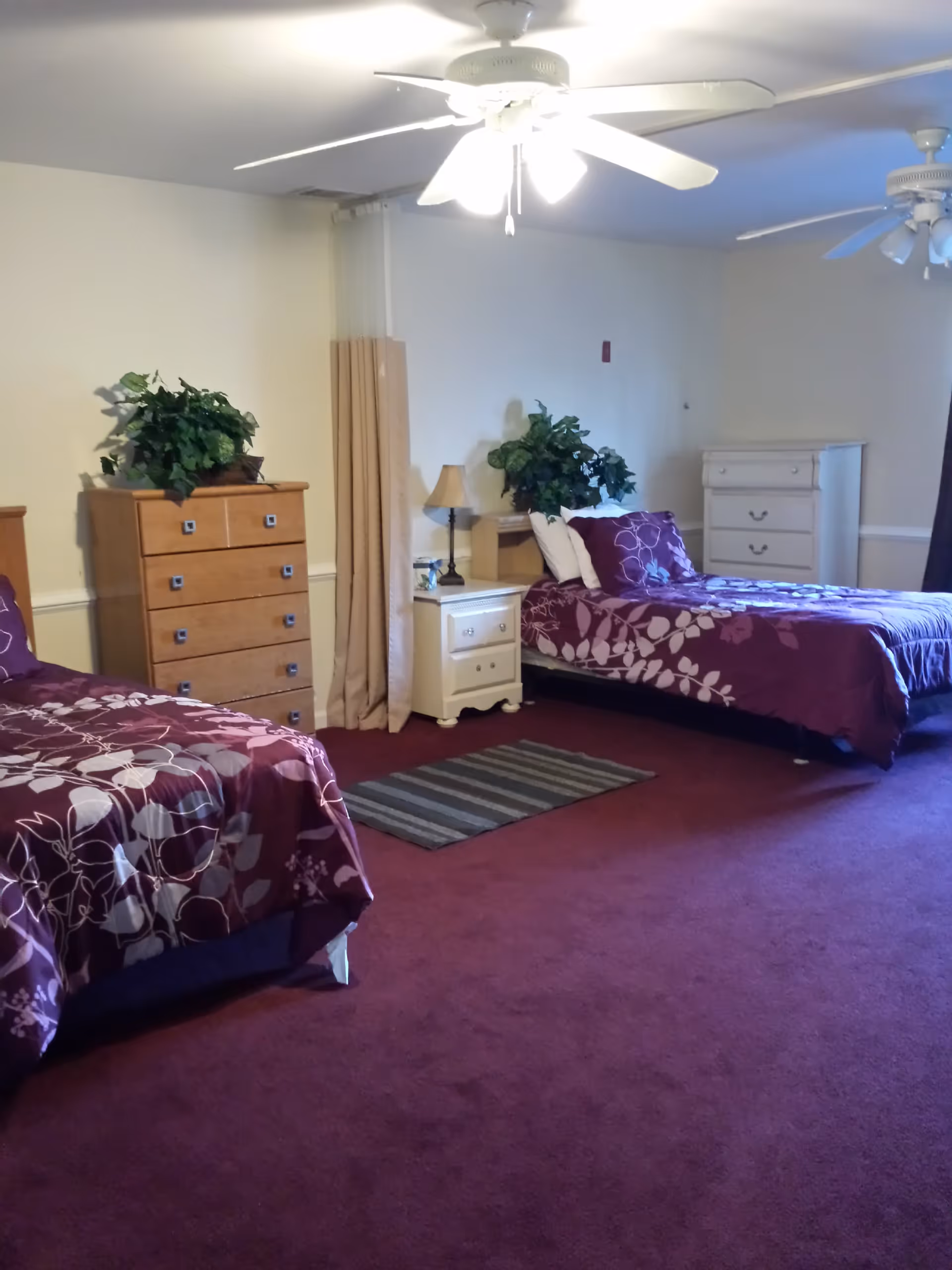Photo 3 of Safe Haven Assisted Living
