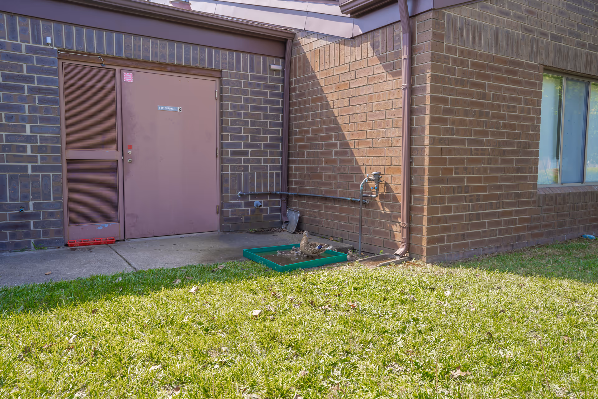 Photo 2 of Mission Point Nursing & Physical Rehabilitation Center of Clarkston