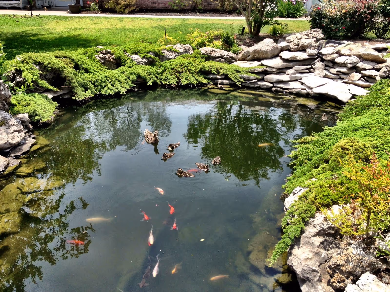 Photo 5 of The Courtyards at The Ambassador Memory Care Assisted Living