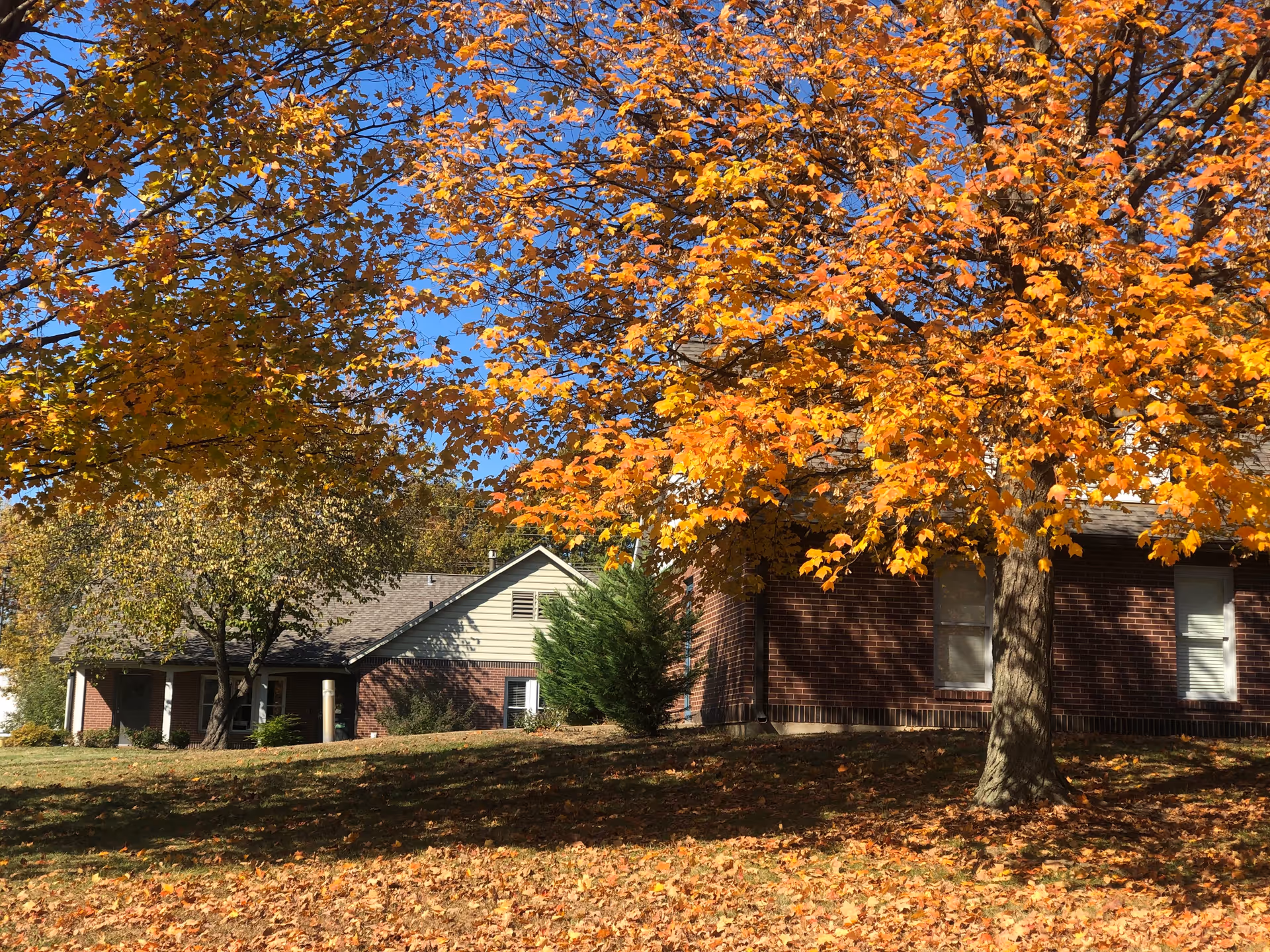 Photo 3 of The Gables at Brady Circle- Assisted Living and Memory Care