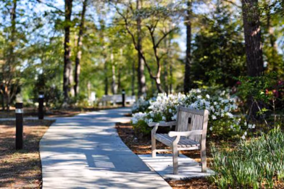 Photo 8 of Porters Neck Village