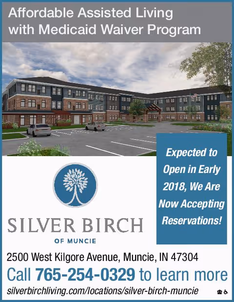 Photo of Silver Birch of Muncie