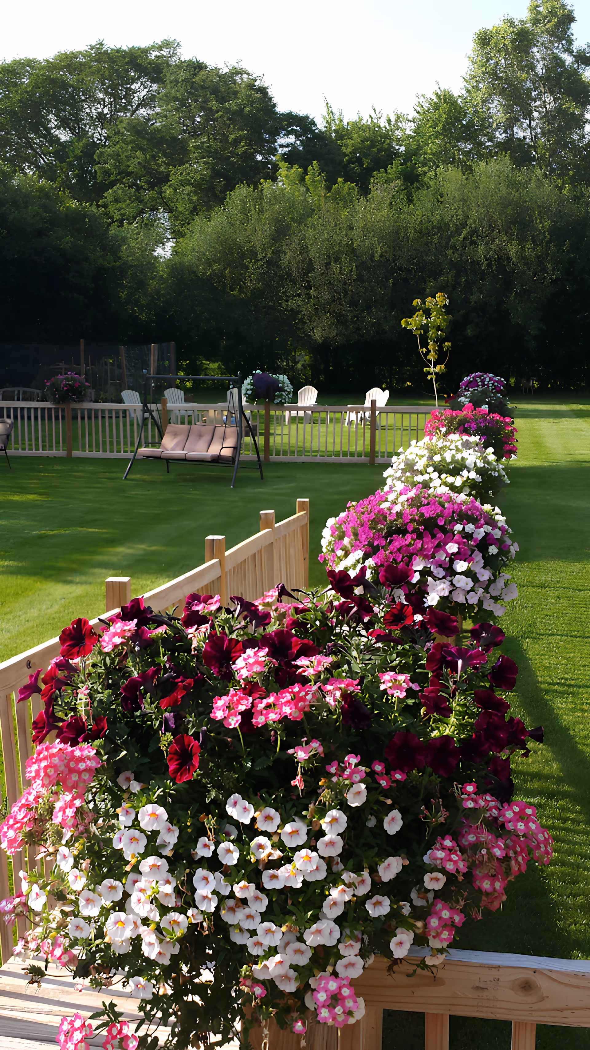 Photo 4 of Peaceful Manor