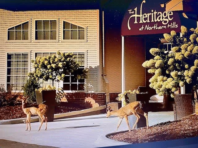 Photo 4 of The Heritage at Northern Hills