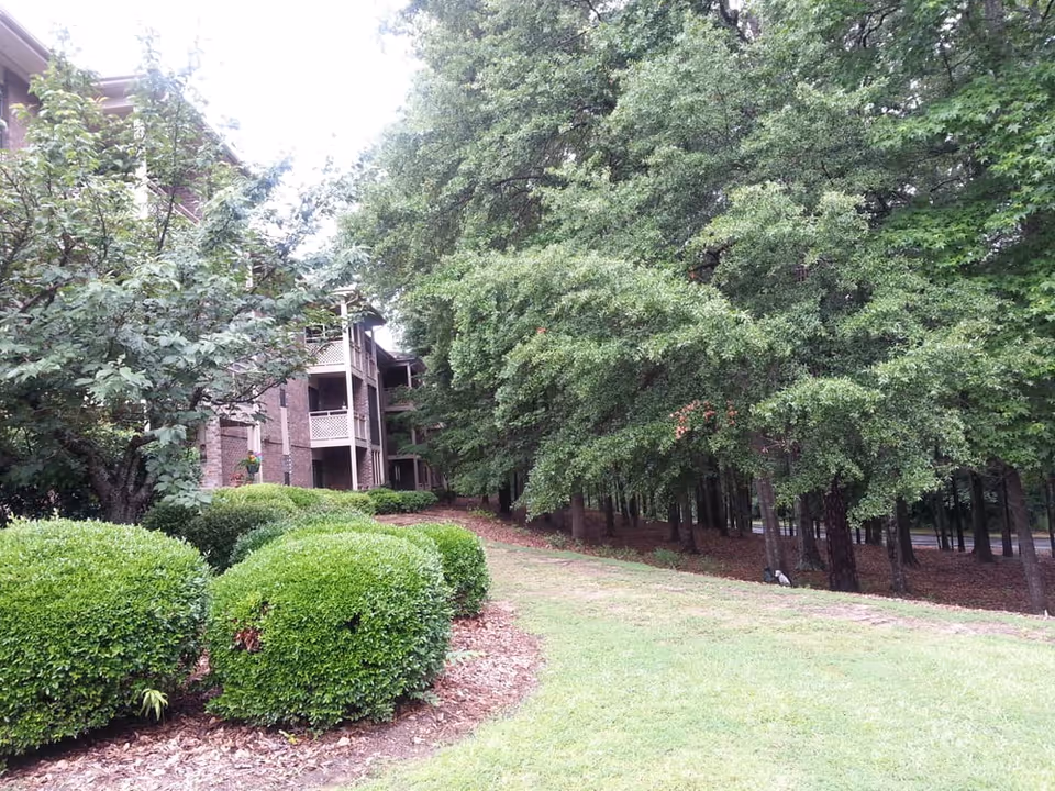 Photo 5 of Covenant Woods