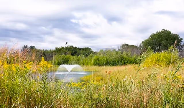 Photo 7 of Teal Shores