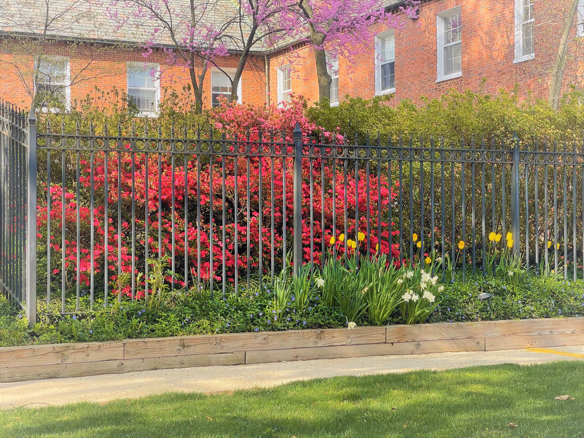 Photo 5 of Forest Hills of DC