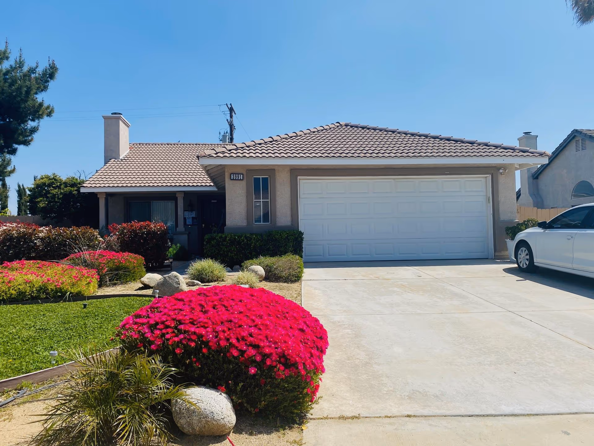 Photo of Dove Tree Manor