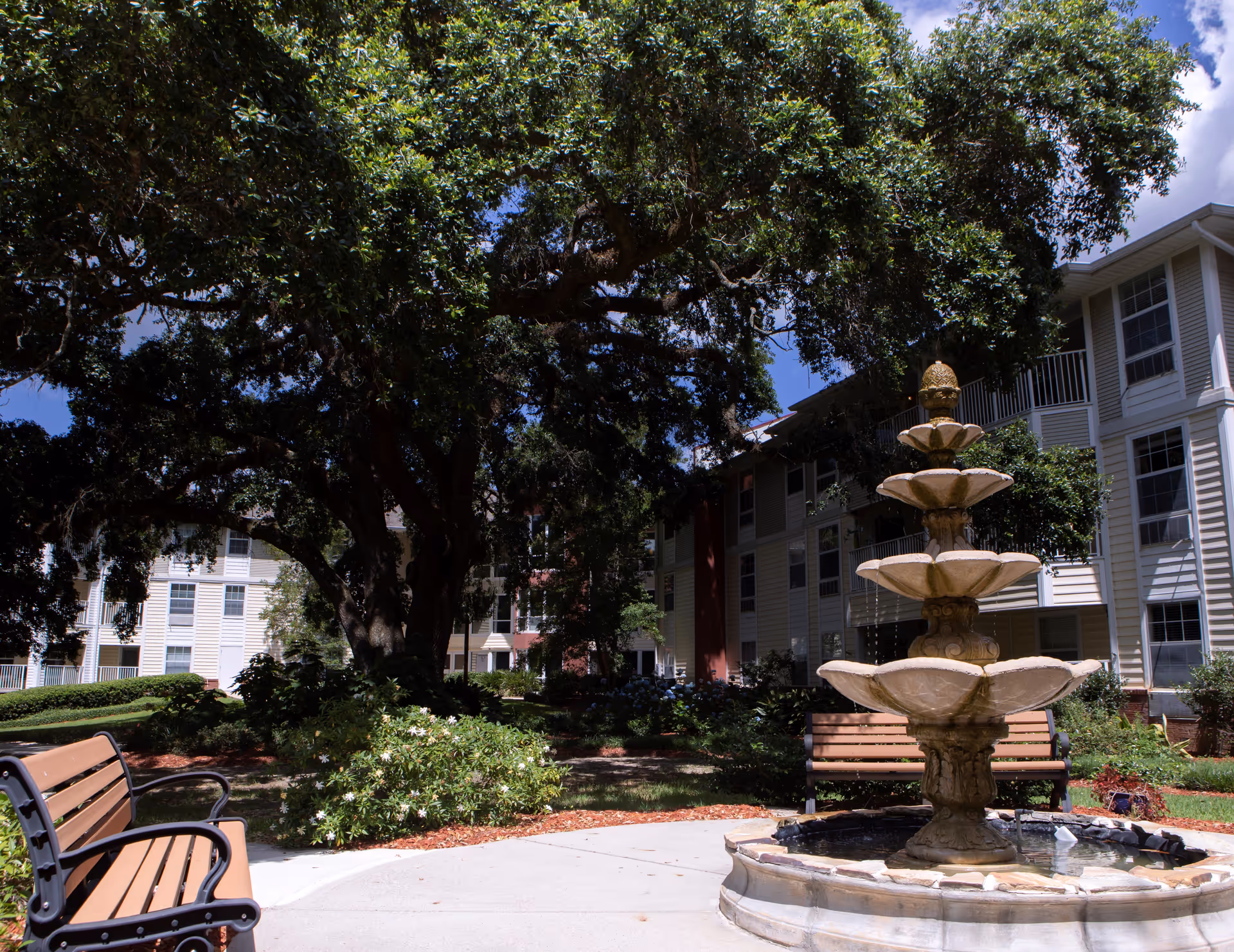 Photo 9 of Allegro Senior Living – Tallahassee, FL