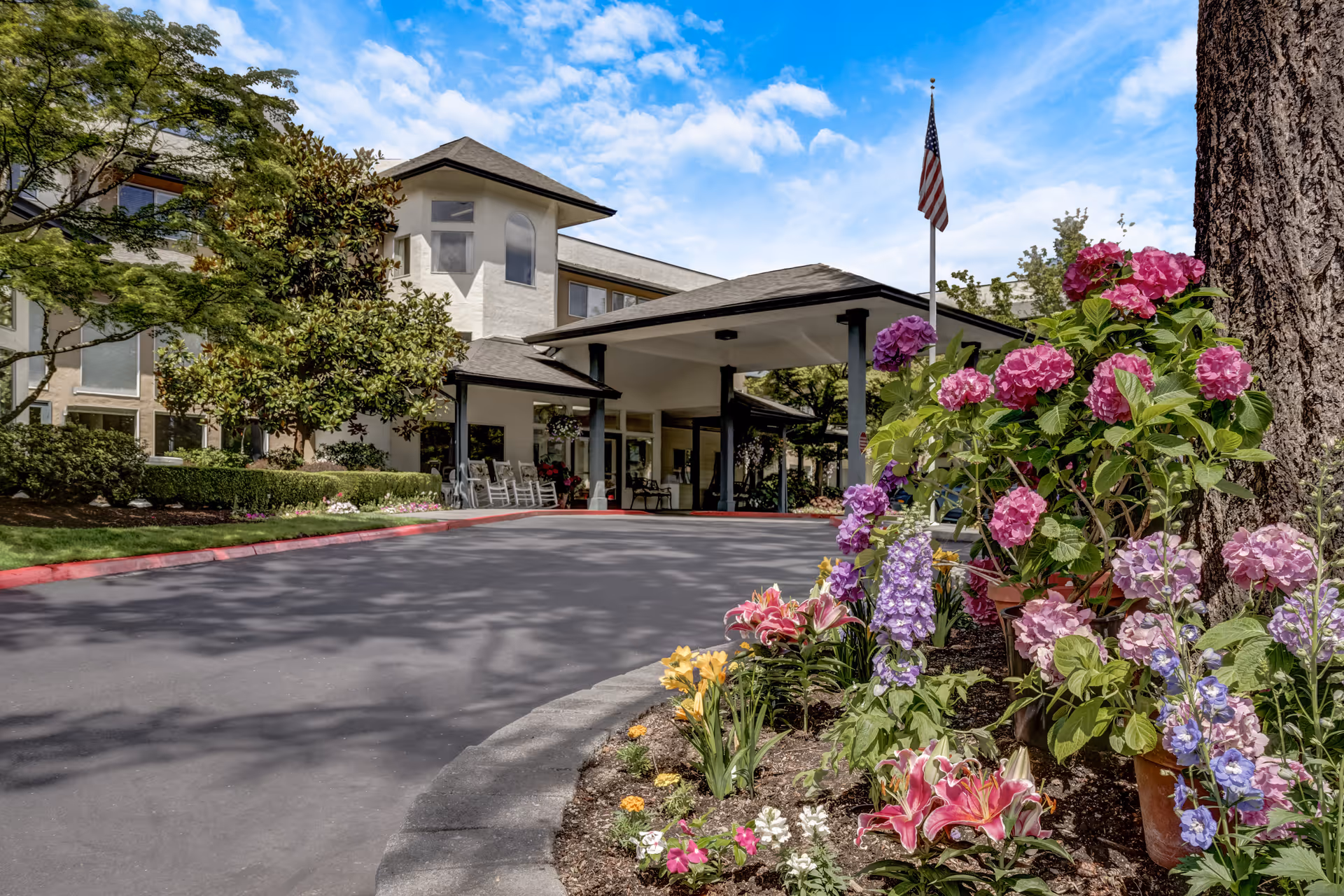 Photo of Solista Bellevue