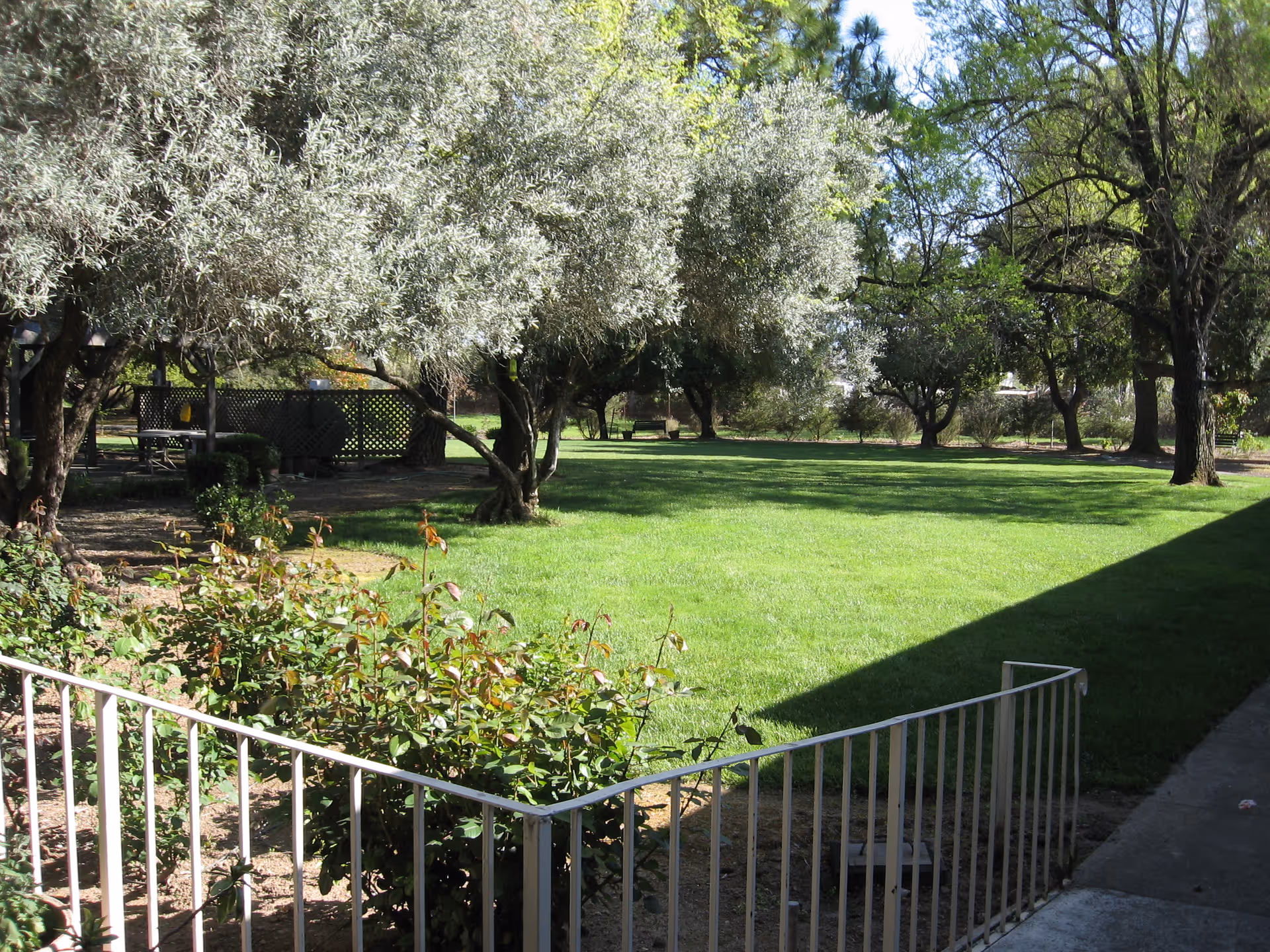 Photo 2 of Sonoma Grove Assisted Living & Memory Care