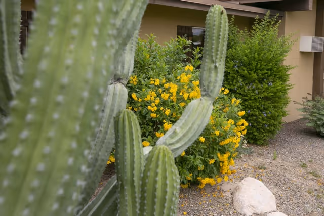 Photo 13 of Pueblo Springs Rehabilitation Center