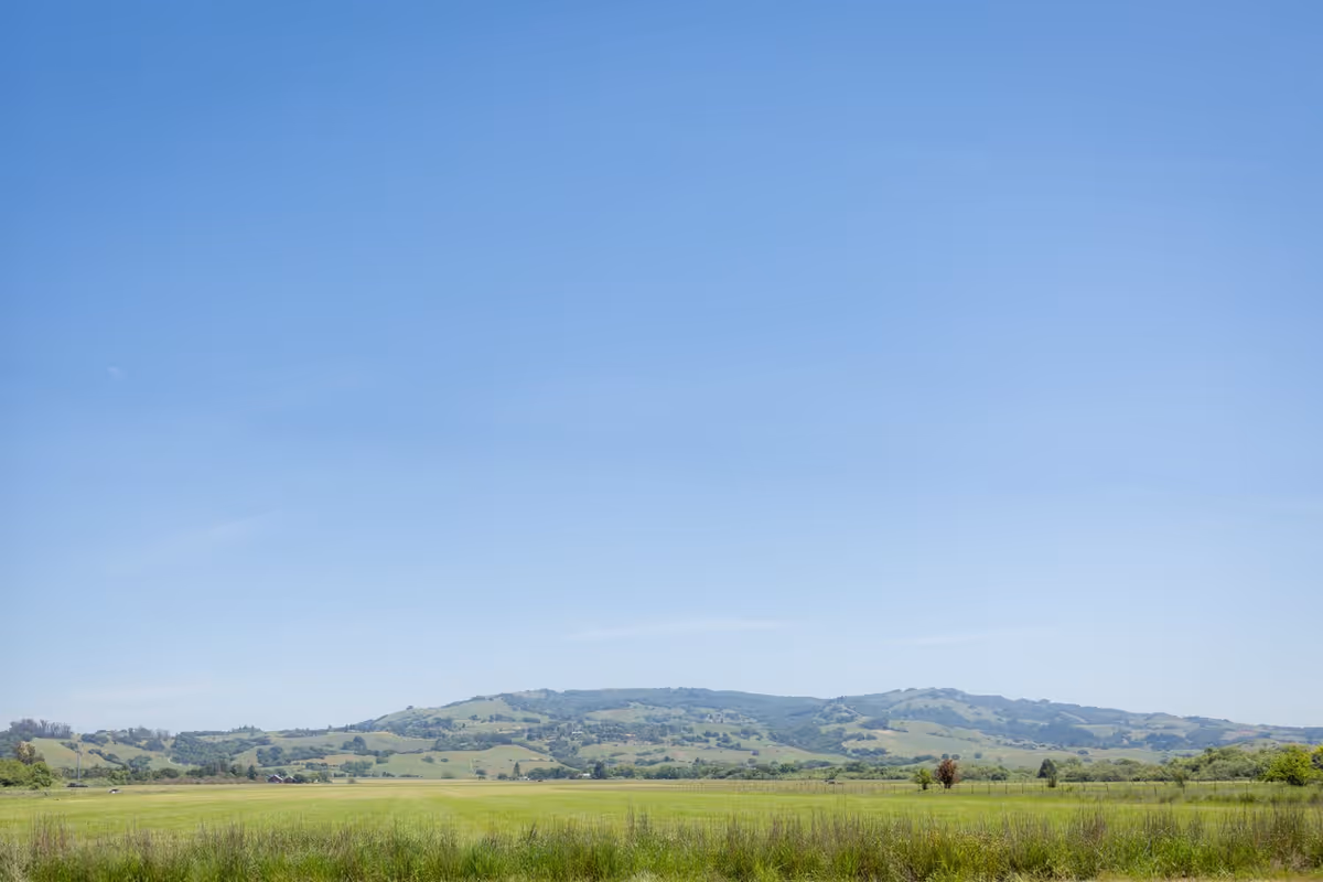 Photo 18 of Cogir of Rohnert Park