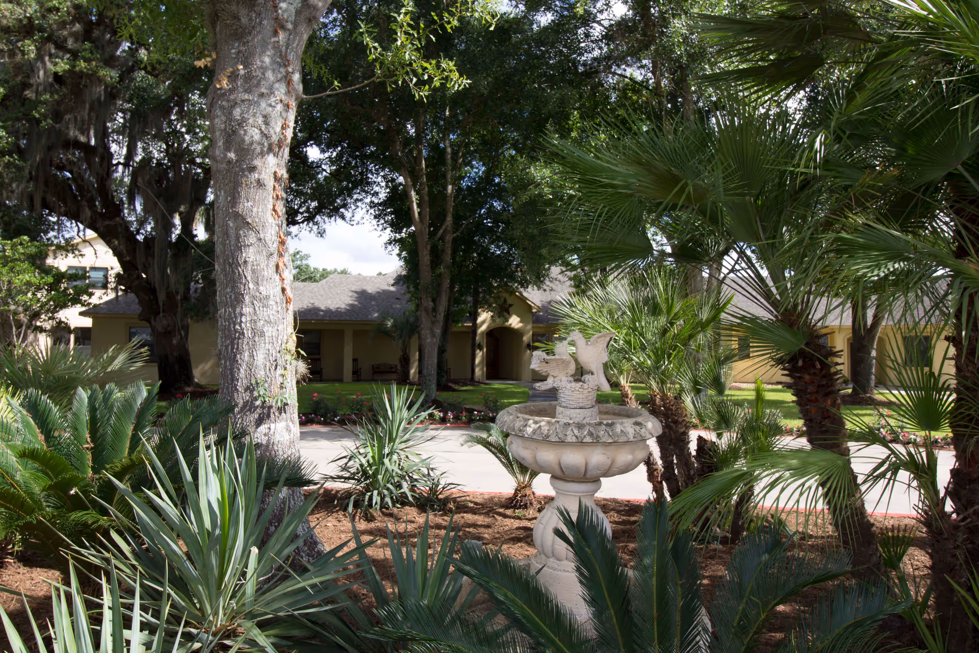 Photo 9 of Valiente Senior Living