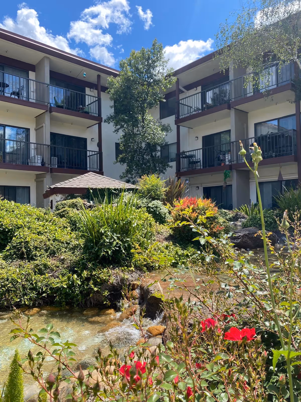 Photo 12 of Roseville Commons Senior Living