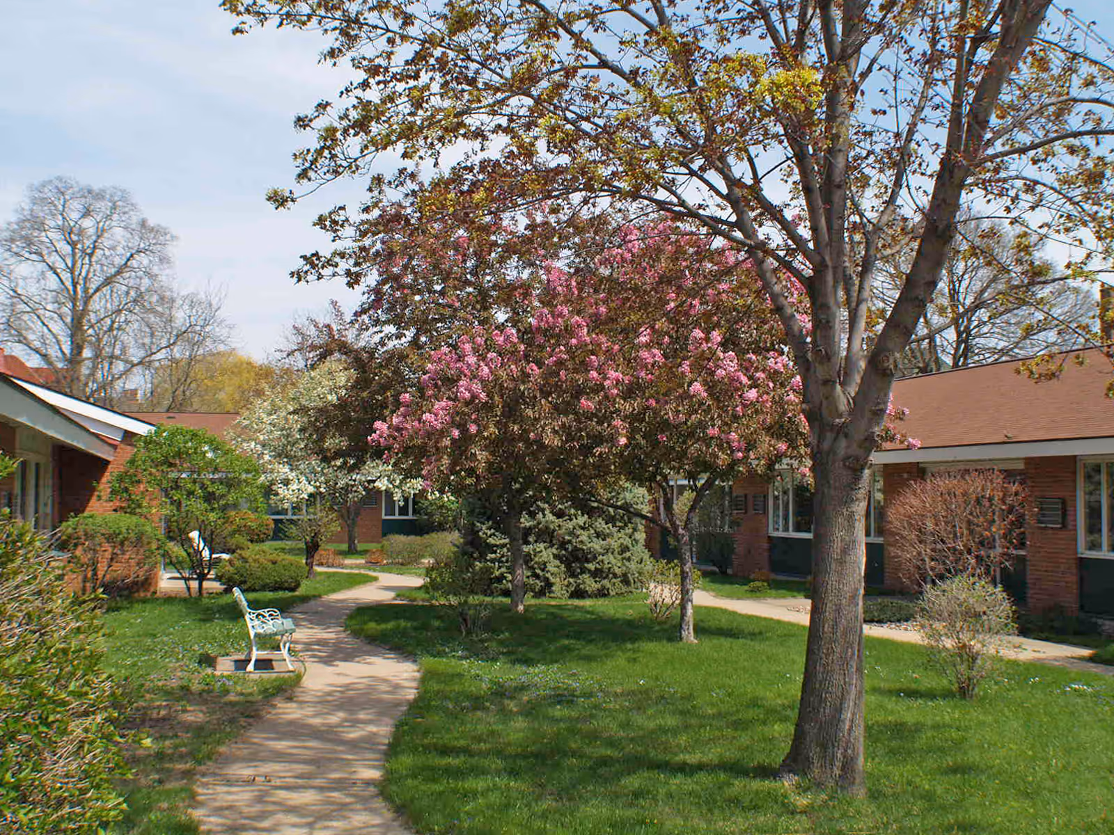 Photo of Cass Street Assisted Living