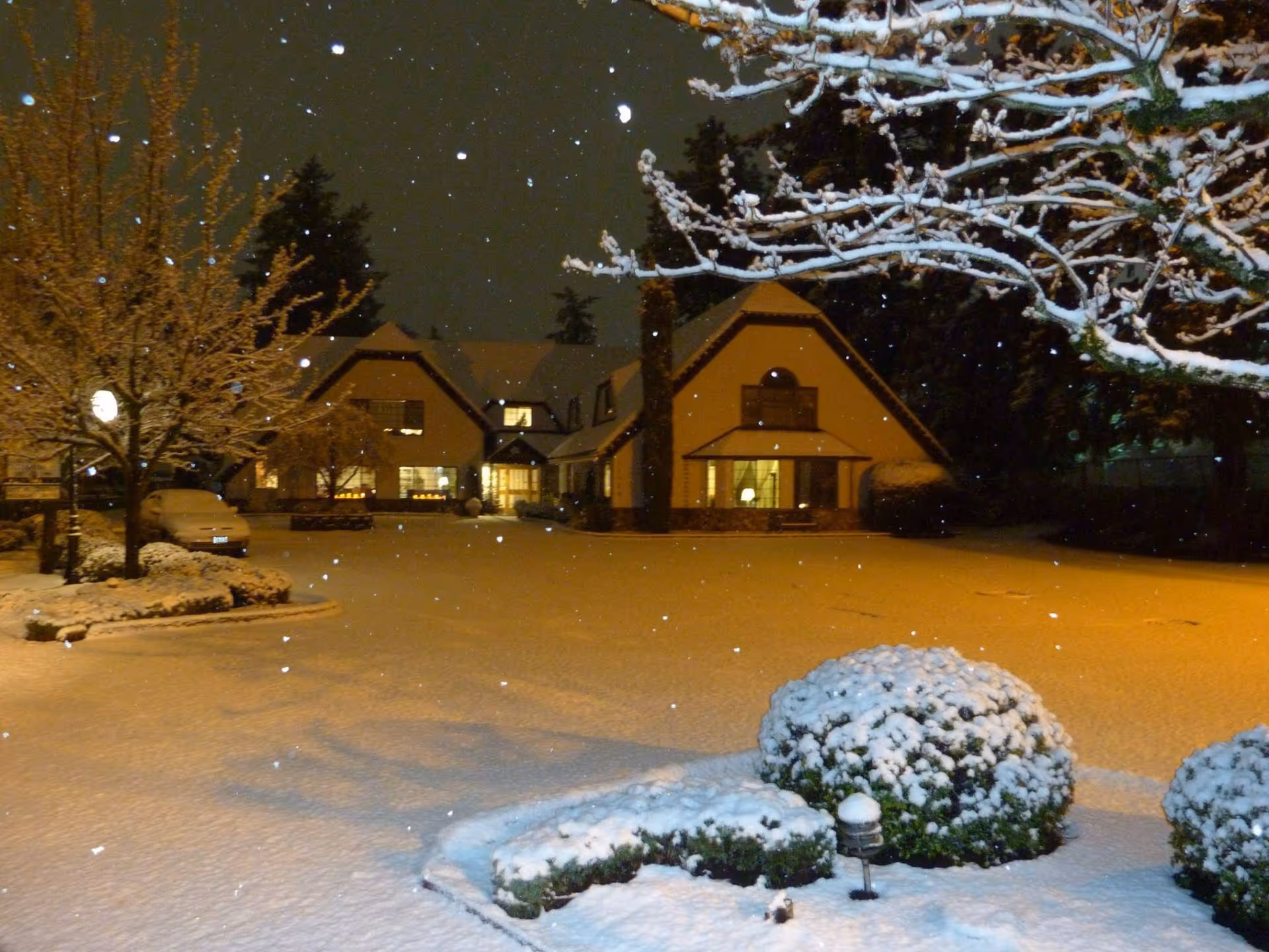 Photo of Cherry Blossom Cottage - Residential Care Facility For Seniors
