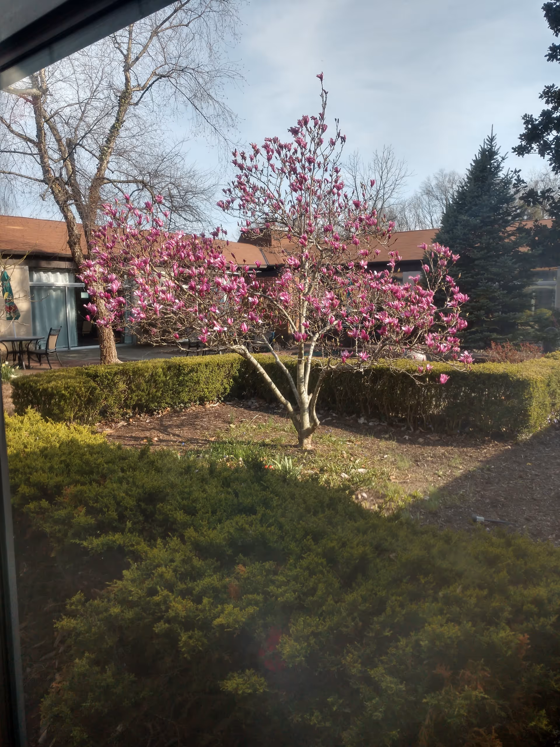 Photo of Harmony Court Rehab and Nursing