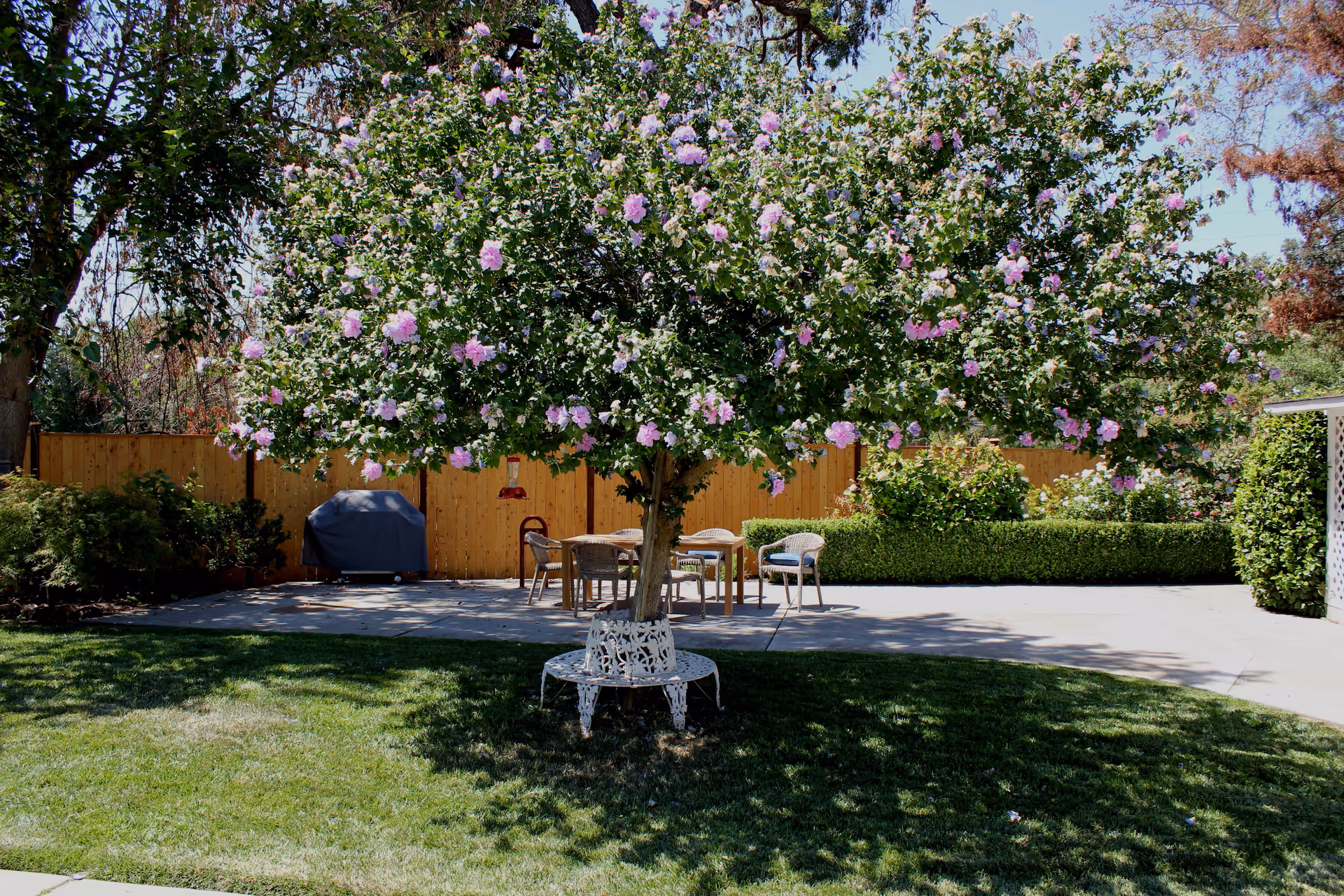Photo 3 of Roses & Ivy Assisted Living Facility for the Elderly