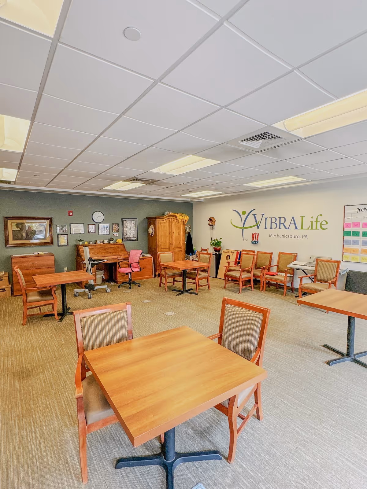 Photo 9 of VibraLife