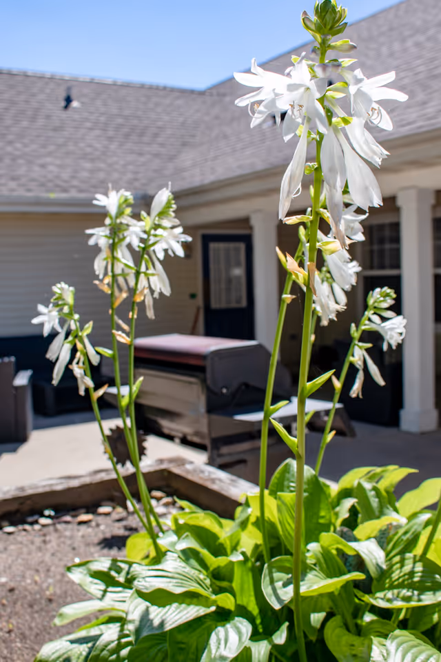 Photo 13 of Our House Senior Living - Austin Memory Care